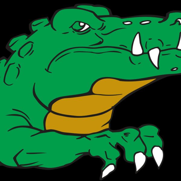 AR GATOR 22 RQC Thumbnail