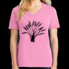Women's Core Cotton V Neck Tee Thumbnail